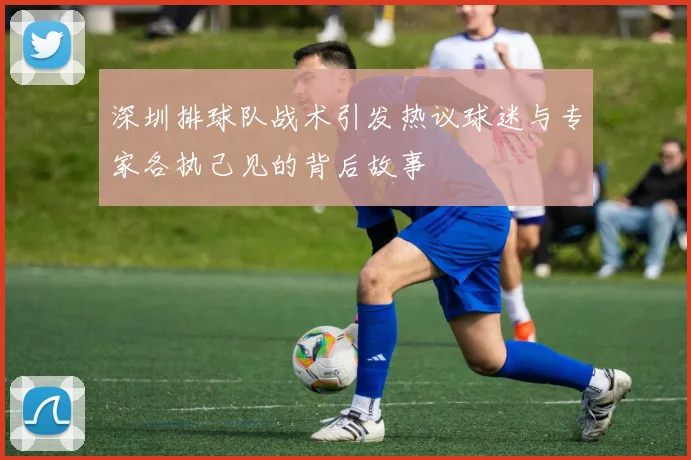 深圳排球队战术引发热议球迷与专家各执己见的背后故事